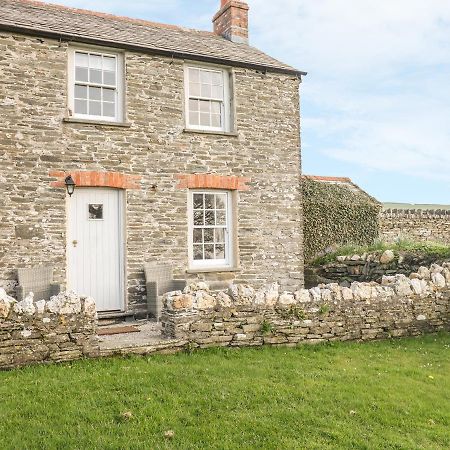 Home Farm Cottage Boscastle Ngoại thất bức ảnh