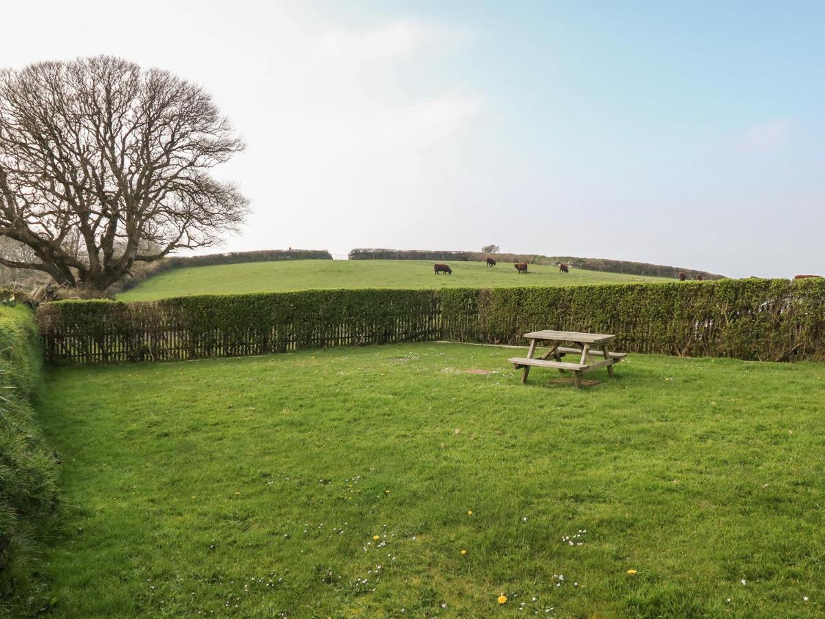 Home Farm Cottage Boscastle Ngoại thất bức ảnh